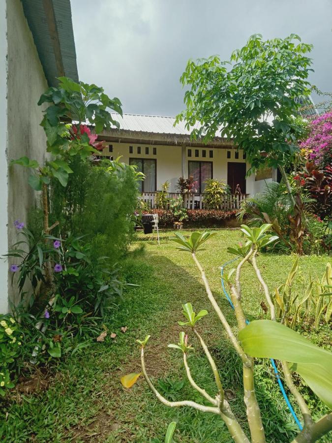 Tiu Kelep Homestay Senaru Extérieur photo