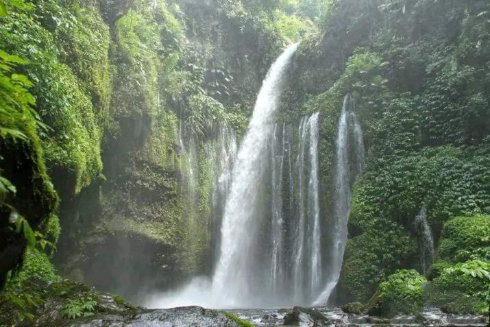 Tiu Kelep Homestay Senaru Extérieur photo