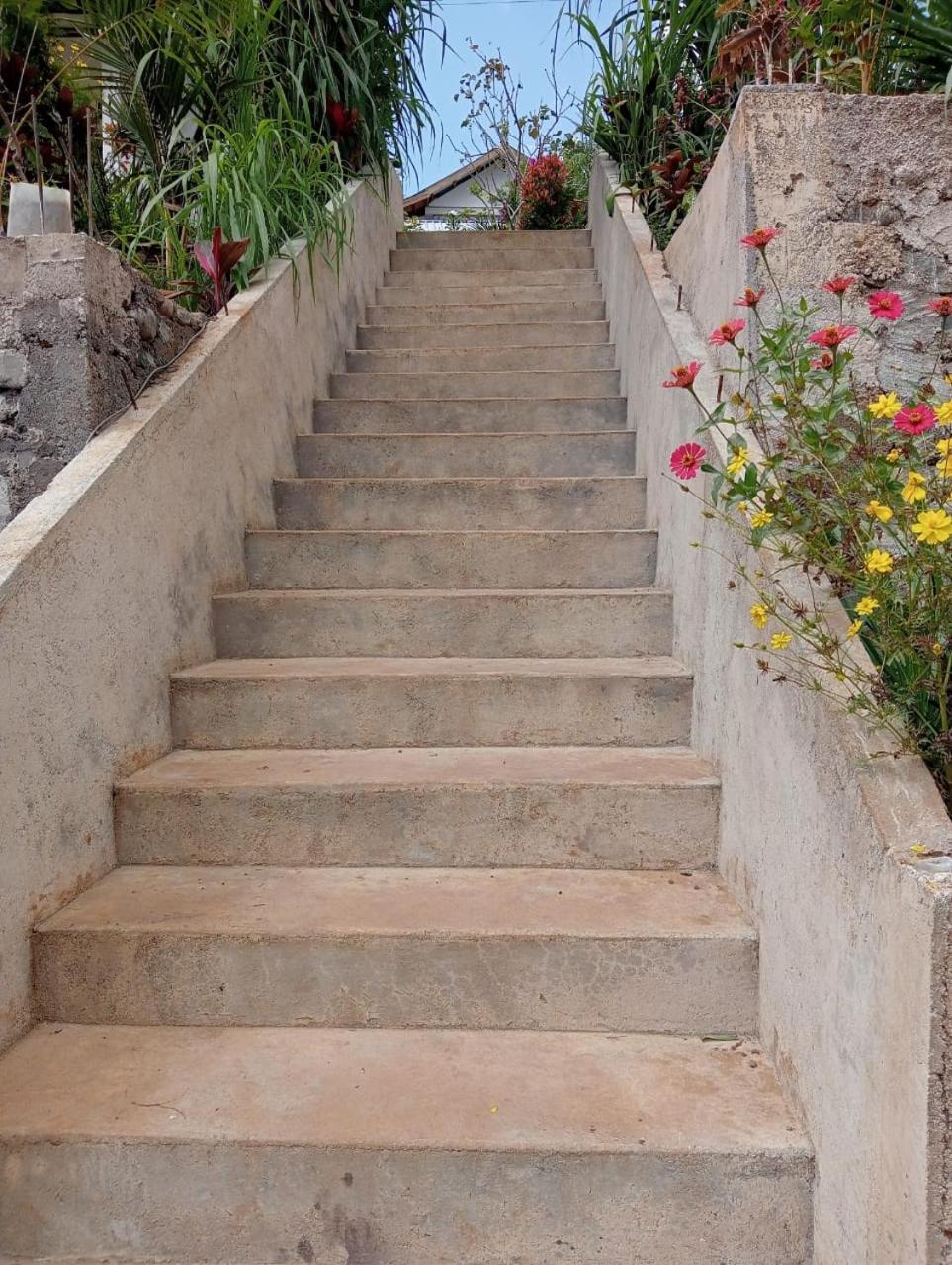 Tiu Kelep Homestay Senaru Extérieur photo