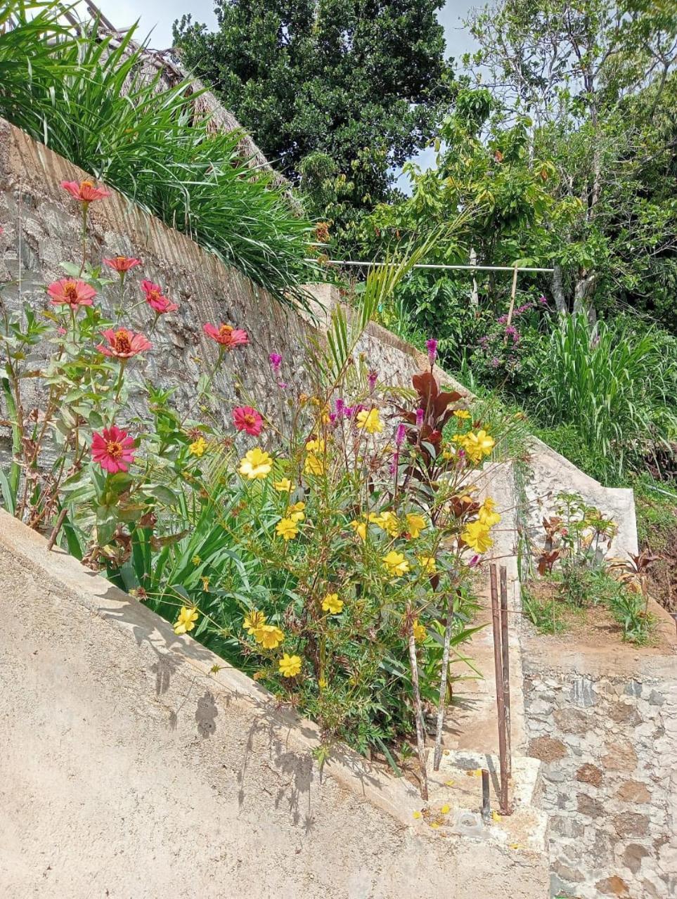 Tiu Kelep Homestay Senaru Extérieur photo